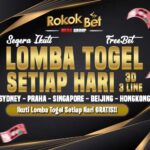 Rokokbet > Bandar Togel Online Terpercaya Paling Populer